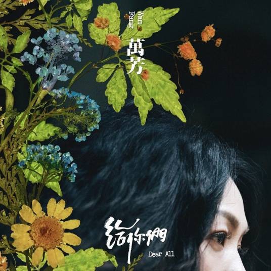回家吧（万芳演唱的歌曲）