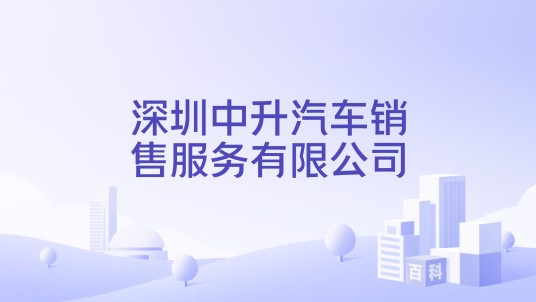 深圳中升汽车销售服务有限公司