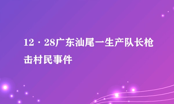 12·28广东汕尾一生产队长枪击村民事件