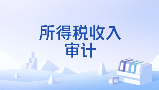 所得税收入审计