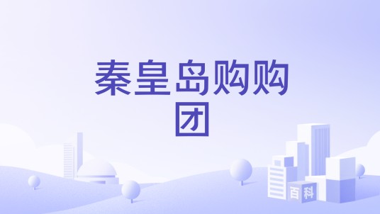 秦皇岛购购团