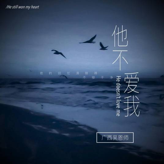 他不爱我（吴恩师演唱歌曲）