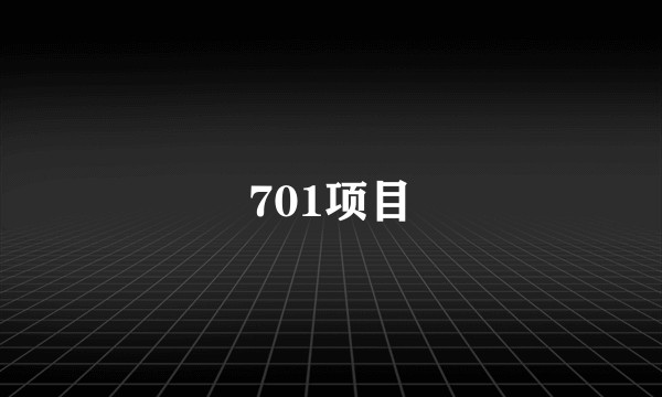 701项目