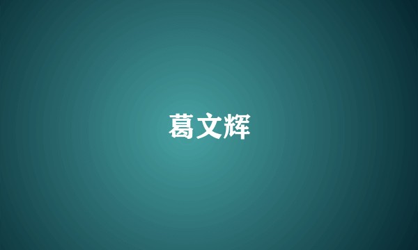 葛文辉