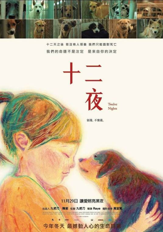十二夜（2013年Raye执导纪录片）