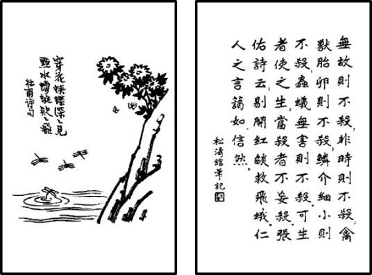 穿花蛱蝶深深见，点水蜻蜓款款飞