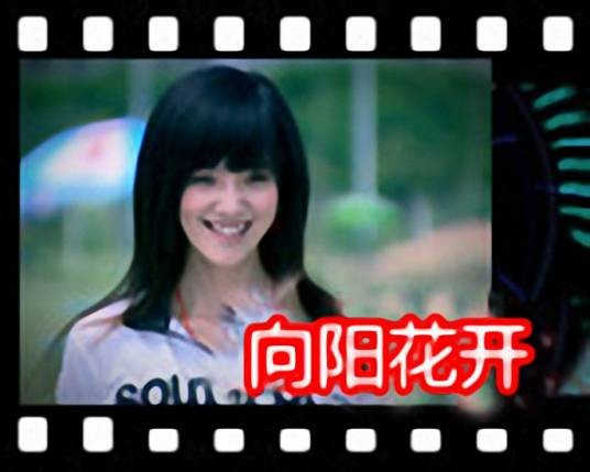 向阳花开(2011年刘宁导演大陆电影)