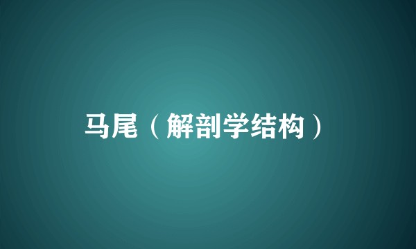 马尾（解剖学结构）