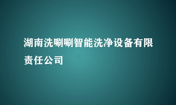 湖南洗唰唰智能洗净设备有限责任公司