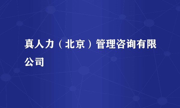 真人力（北京）管理咨询有限公司