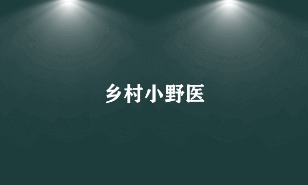 乡村小野医