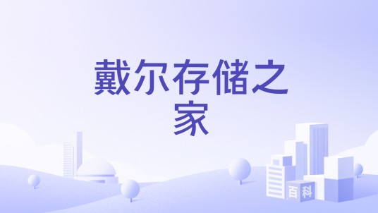 戴尔存储之家