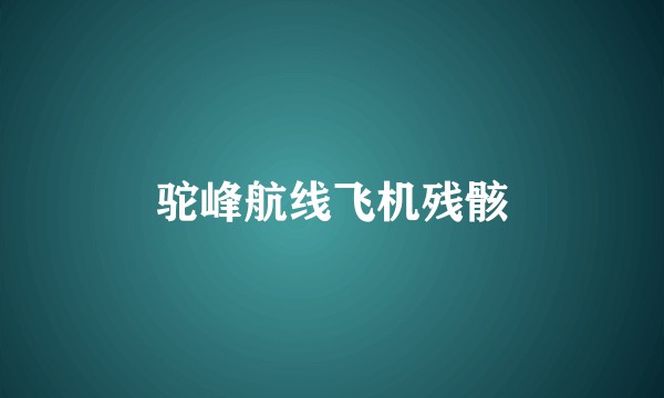 驼峰航线飞机残骸
