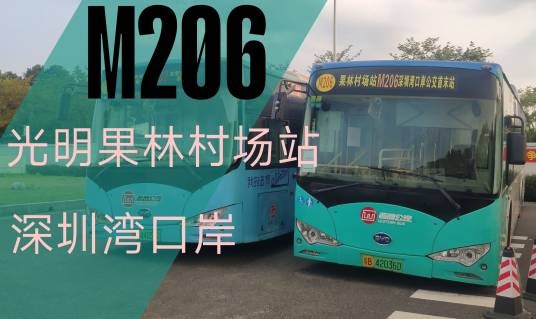 深圳公交M206路