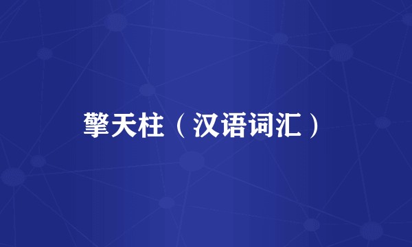 擎天柱（汉语词汇）