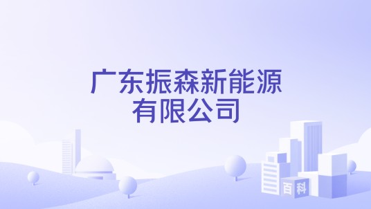 广东振森新能源有限公司