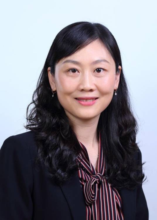 李妮（北京航空航天大学教授）