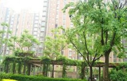 地杰国际城二期