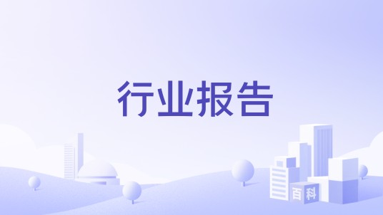 行业报告