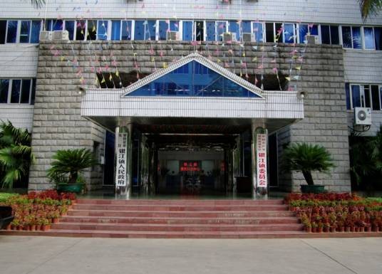 银江镇（广东省梅州市大埔县辖镇）