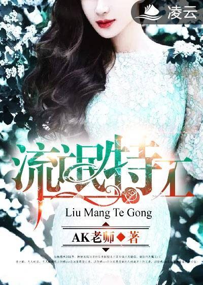 流氓特工(AK老师创作的网络小说)