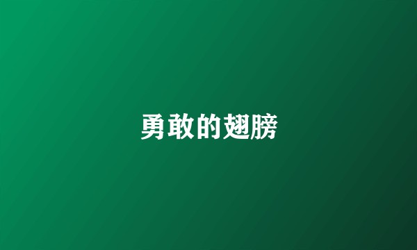勇敢的翅膀
