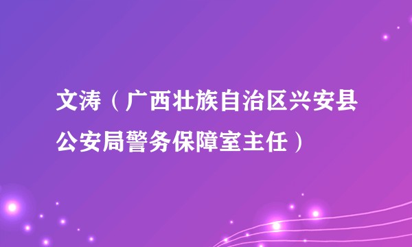 文涛（广西壮族自治区兴安县公安局警务保障室主任）