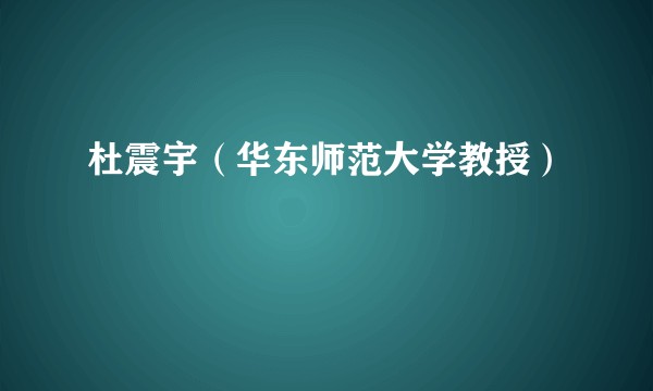 杜震宇（华东师范大学教授）