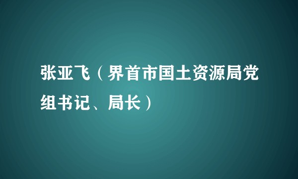 张亚飞（界首市国土资源局党组书记、局长）