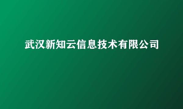 武汉新知云信息技术有限公司
