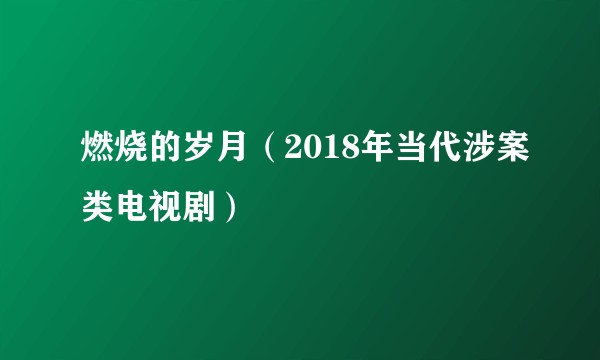 燃烧的岁月（2018年当代涉案类电视剧）