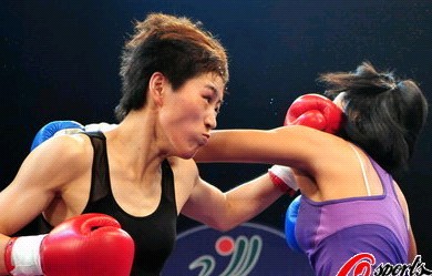 武林风国际挑战赛