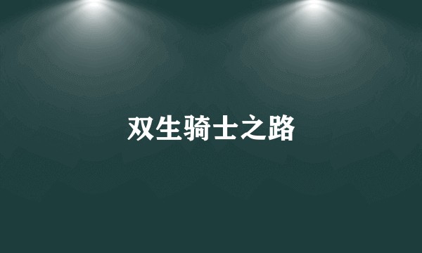 双生骑士之路
