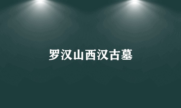 罗汉山西汉古墓