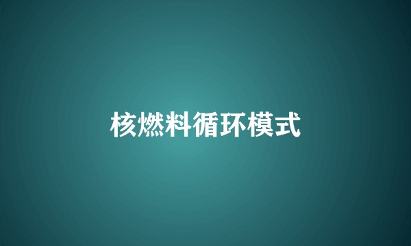 核燃料循环模式