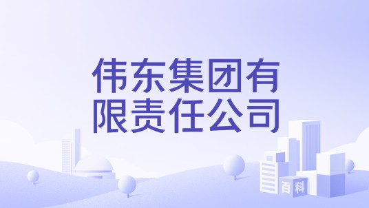 伟东集团有限责任公司