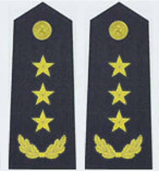 海军上将（海军军衔）