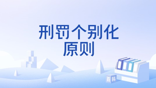 刑罚个别化原则