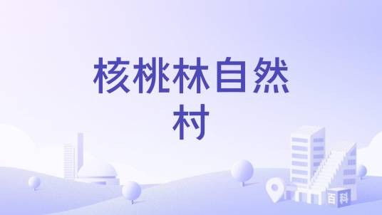 核桃林自然村（云南省临沧市凤庆县三岔河镇辖自然村）