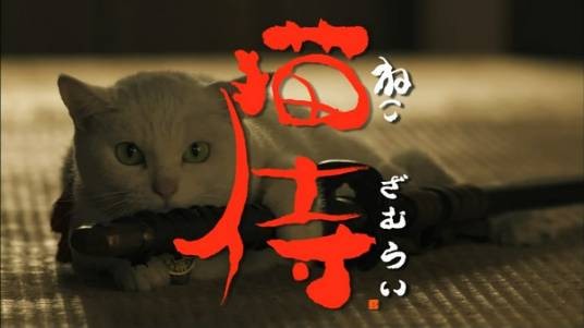 猫侍