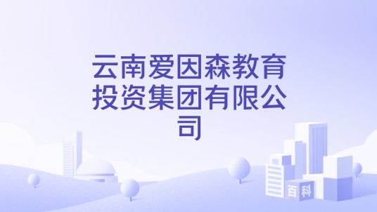 云南爱因森教育投资集团有限公司