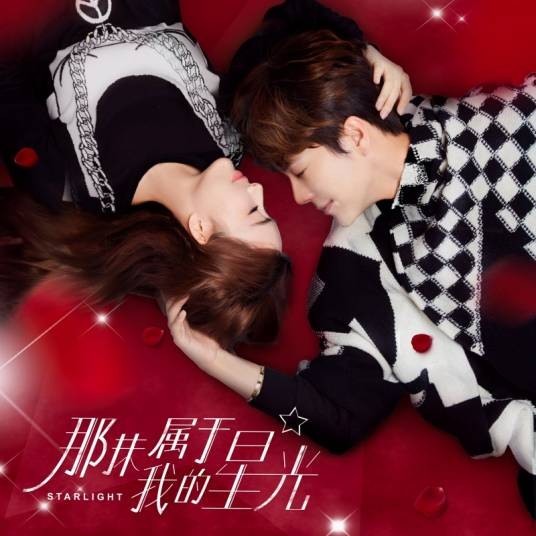 爱在星光灿烂时（徐海乔演唱的歌曲）