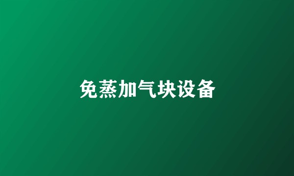 免蒸加气块设备