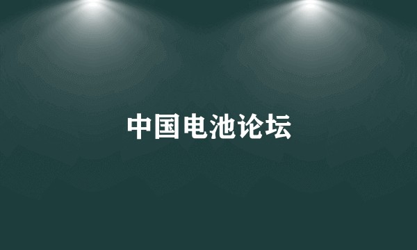 中国电池论坛