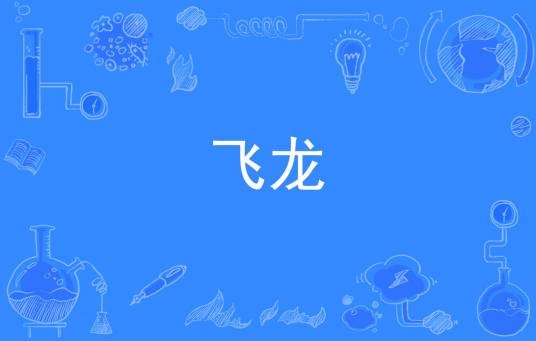 飞龙(汉语词语)
