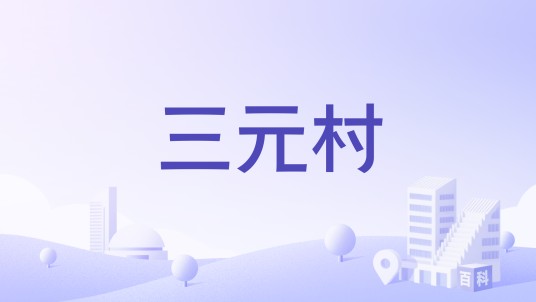 三元村（安康市汉阴县城关镇下辖村）