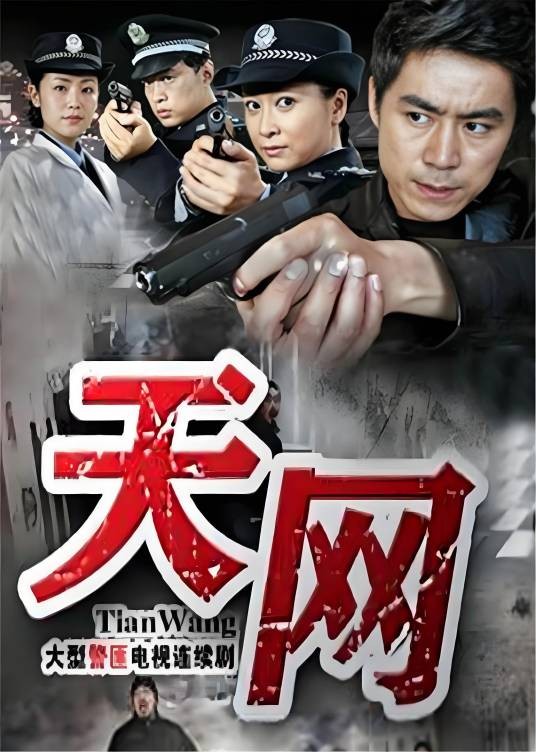 天网（2011年王国贤执导的动作电视剧）