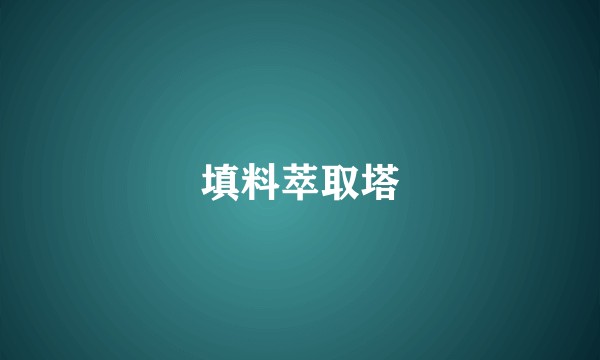 填料萃取塔