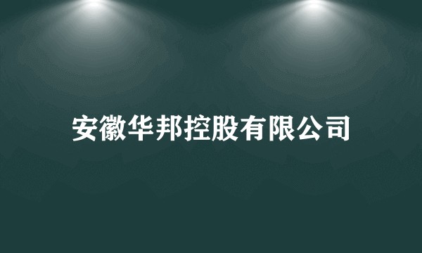 安徽华邦控股有限公司