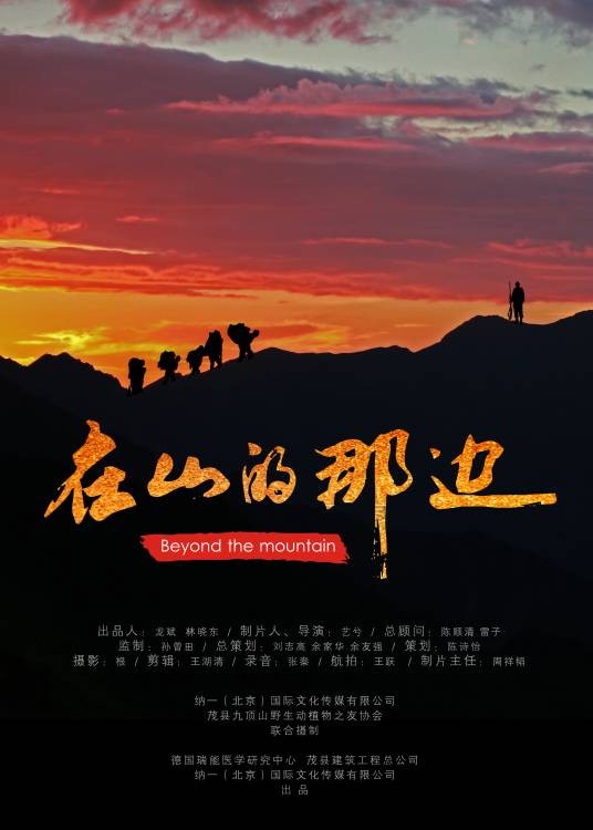 在山的那边（2017年艺兮执导的羌族反盗猎题材纪录片）